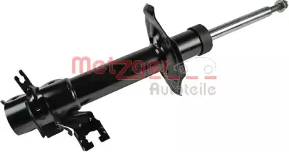 metzger-2340420